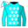 Runner silk